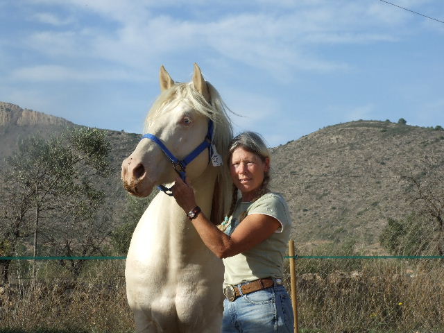 Cremello Stallion Docs White Hot Gun in Spain with his new owner Terrie Salone