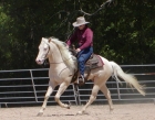 DOCS WHITE HOT GUN AQHA Cremello Stallion pictured with JD Westerfield - SOLD to Spain, Europe - Congratulations Terrie! Docs White Hot Gun (AQHA Cremello Stallion) ridden by JD Westerfield