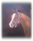 080130024326_original_art_horse_head