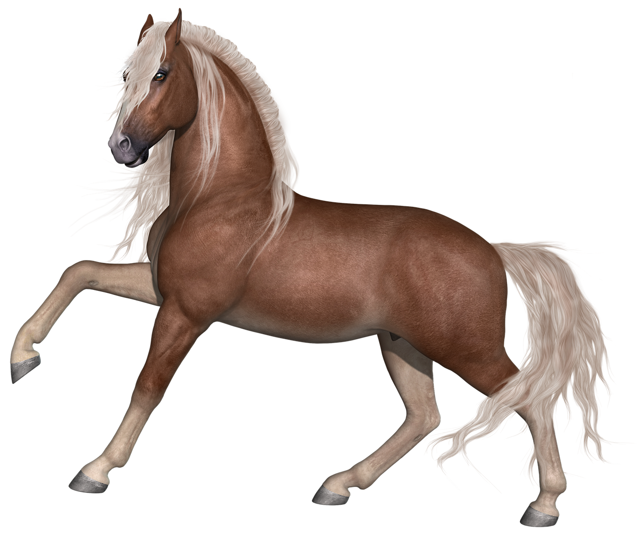 horse-1874540_1280 horse-1874540_1280