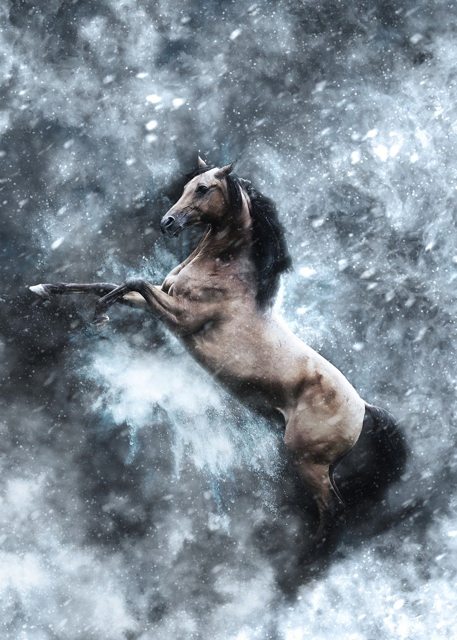 horse-6239038_1280 horse-6239038_1280