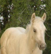 Blondiesbaby6-10-07_209