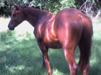 Dually_060505 Dually_060505